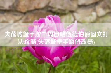 失落城堡手游二周目哈伍德伯爵图文打法攻略(失落城堡手游修改器)