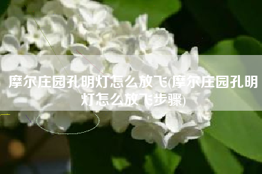 摩尔庄园孔明灯怎么放飞(摩尔庄园孔明灯怎么放飞步骤)