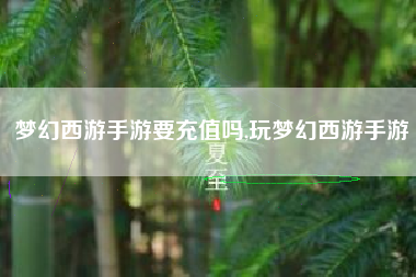 梦幻西游手游要充值吗,玩梦幻西游手游
