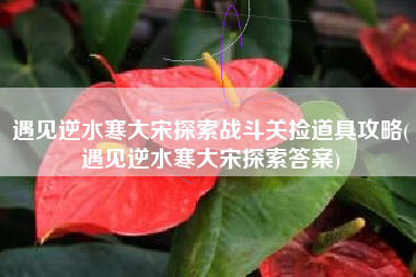 遇见逆水寒大宋探索战斗关捡道具攻略(遇见逆水寒大宋探索答案)
