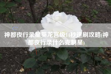 神都夜行录星葵龙宫级14秒速刷攻略(神都夜行录什么克制星)