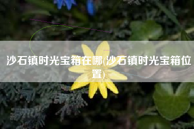 沙石镇时光宝箱在哪(沙石镇时光宝箱位置)