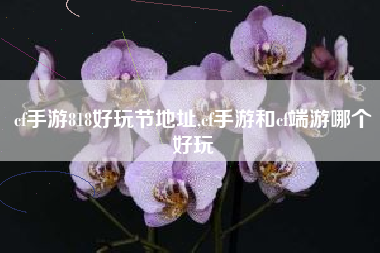 cf手游818好玩节地址,cf手游和cf端游哪个好玩