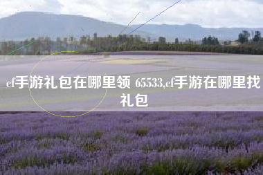 cf手游礼包在哪里领 65533,cf手游在哪里找礼包