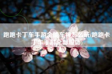 跑跑卡丁车手游全能车神怎么玩(跑跑卡丁车手游全部服饰)