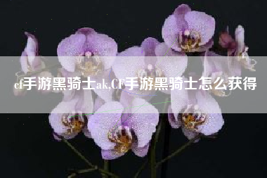 cf手游黑骑士ak,CF手游黑骑士怎么获得