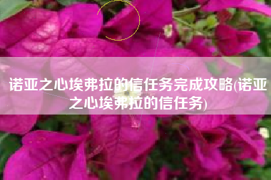 诺亚之心埃弗拉的信任务完成攻略(诺亚之心埃弗拉的信任务)