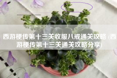 西游梗传第十三关收服八戒通关攻略 (西游梗传第十三关通关攻略分享)