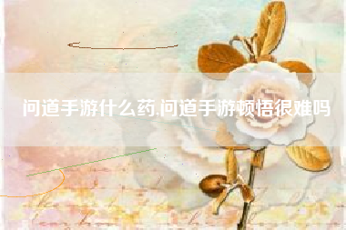 问道手游什么药,问道手游顿悟很难吗