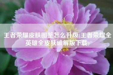 王者荣耀皮肤图鉴怎么升级(王者荣耀全英雄全皮肤破解版下载)