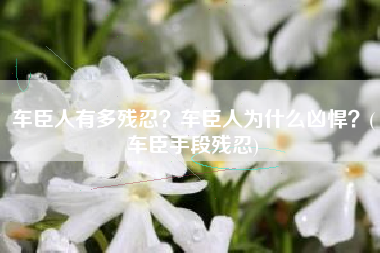 车臣人有多残忍？车臣人为什么凶悍？(车臣手段残忍)