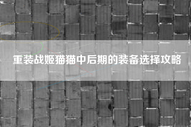 重装战姬猫猫中后期的装备选择攻略