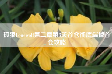 孤狼Lonewolf第二章第3关谷仓彻底端掉谷仓攻略