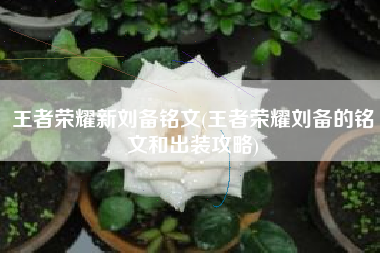 王者荣耀新刘备铭文(王者荣耀刘备的铭文和出装攻略)