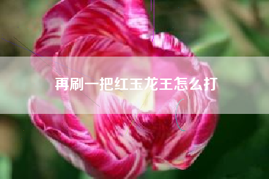 再刷一把红玉龙王怎么打