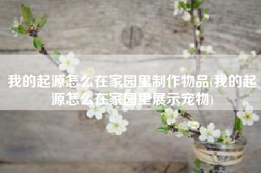 我的起源怎么在家园里制作物品(我的起源怎么在家园里展示宠物)