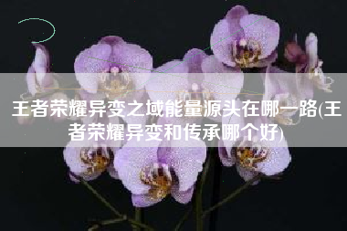 王者荣耀异变之域能量源头在哪一路(王者荣耀异变和传承哪个好)