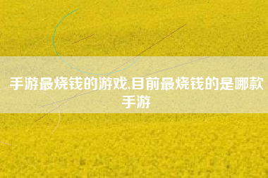 手游最烧钱的游戏,目前最烧钱的是哪款手游