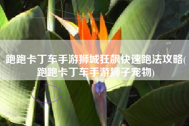 跑跑卡丁车手游狮城狂飙快速跑法攻略(跑跑卡丁车手游狮子宠物)