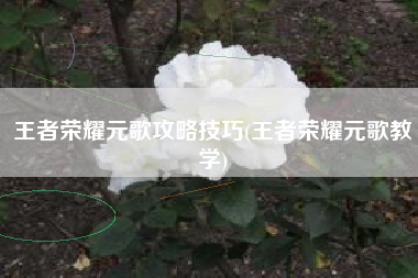 王者荣耀元歌攻略技巧(王者荣耀元歌教学)