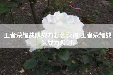 王者荣耀战队战力怎么获得(王者荣耀战队战力规则)