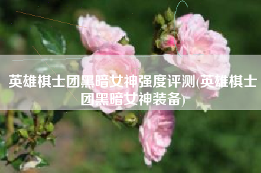英雄棋士团黑暗女神强度评测(英雄棋士团黑暗女神装备)