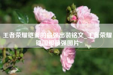 王者荣耀铠爹的最强出装铭文_王者荣耀铠国服最强图片