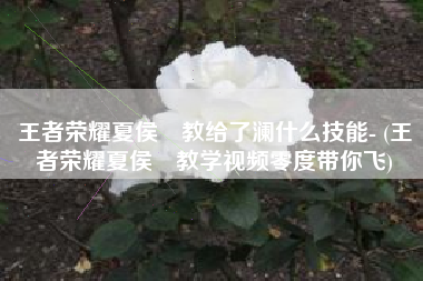 王者荣耀夏侯惇教给了澜什么技能- (王者荣耀夏侯惇教学视频零度带你飞)