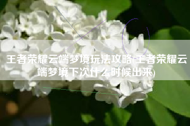 王者荣耀云端梦境玩法攻略(王者荣耀云端梦境下次什么时候出来)