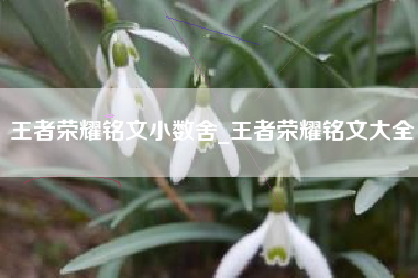 王者荣耀铭文小数舍_王者荣耀铭文大全