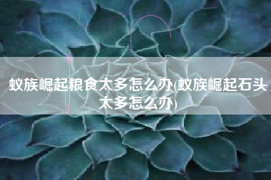 蚁族崛起粮食太多怎么办(蚁族崛起石头太多怎么办)