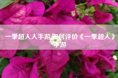 一拳超人人手游,如何评价《一拳超人》手游