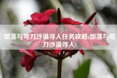 部落与弯刀沙漠寻人任务攻略(部落与弯刀沙漠寻人)
