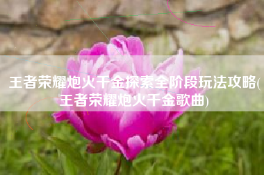 王者荣耀炮火千金探索全阶段玩法攻略(王者荣耀炮火千金歌曲)