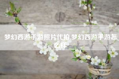 梦幻西游手游照片代拍,梦幻西游手游怎么样