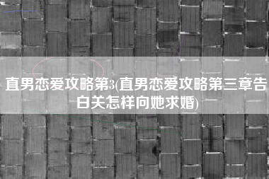 直男恋爱攻略第3(直男恋爱攻略第三章告白关怎样向她求婚)