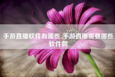 手游直播软件有哪些.,手游直播需要哪些软件啊