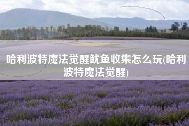 哈利波特魔法觉醒鱿鱼收集怎么玩(哈利波特魔法觉醒)
