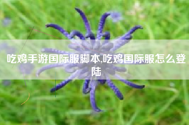 吃鸡手游国际服脚本,吃鸡国际服怎么登陆