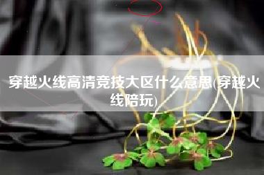 穿越火线高清竞技大区什么意思(穿越火线陪玩)