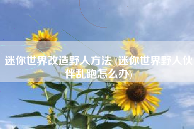 迷你世界改造野人方法 (迷你世界野人伙伴乱跑怎么办)