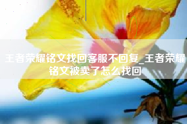 王者荣耀铭文找回客服不回复_王者荣耀铭文被卖了怎么找回