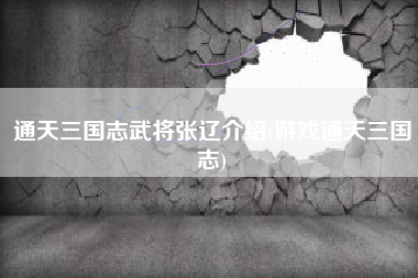 通天三国志武将张辽介绍(游戏通天三国志)