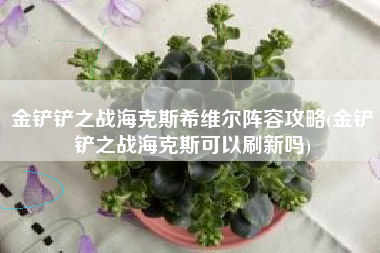 金铲铲之战海克斯希维尔阵容攻略(金铲铲之战海克斯可以刷新吗)