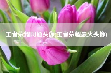 王者荣耀阿通头像(王者荣耀最火头像)