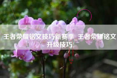 王者荣耀铭文技巧新赛季_王者荣耀铭文升级技巧