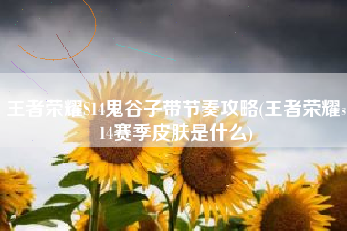 王者荣耀S14鬼谷子带节奏攻略(王者荣耀s14赛季皮肤是什么)