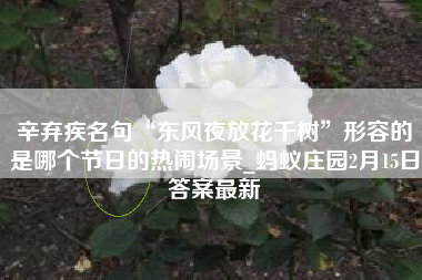 辛弃疾名句“东风夜放花千树”形容的是哪个节日的热闹场景_蚂蚁庄园2月15日答案最新