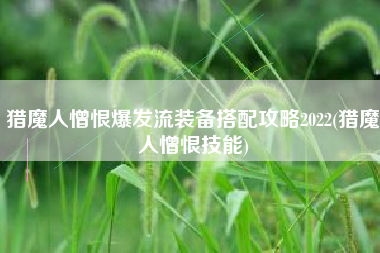 猎魔人憎恨爆发流装备搭配攻略2022(猎魔人憎恨技能)
