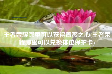 王者荣耀哪里可以获得蔷薇之心(王者荣耀哪里可以兑换排位保护卡)